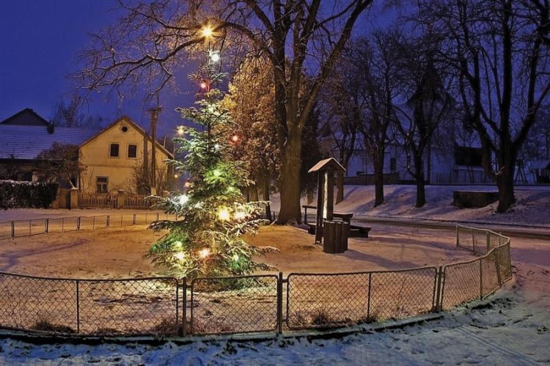 Jenišovice - vánoční stromek